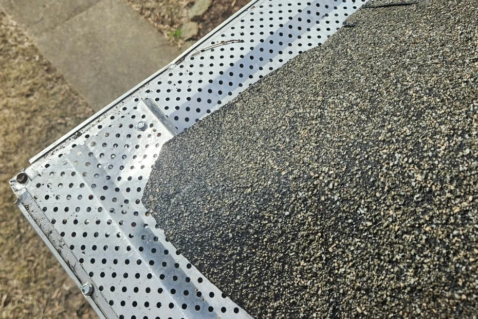 Tonganoxie Gutter Cleaning