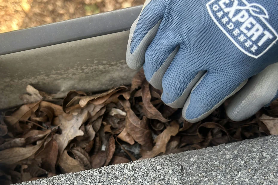 Gutter Cleaning Tonganoxie