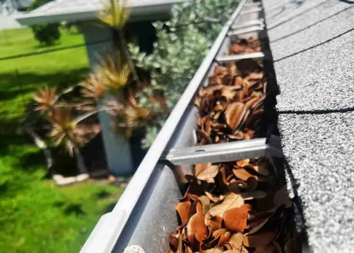 Gutter Cleaning Tonganoxie home page